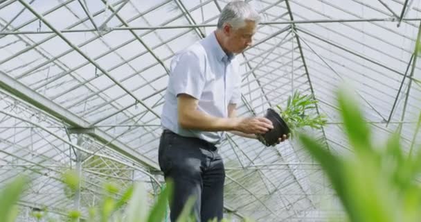 Gerente de negocios en la industria agrícola — Vídeo de stock