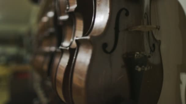 Violons à vendre dans un magasin de musique — Video