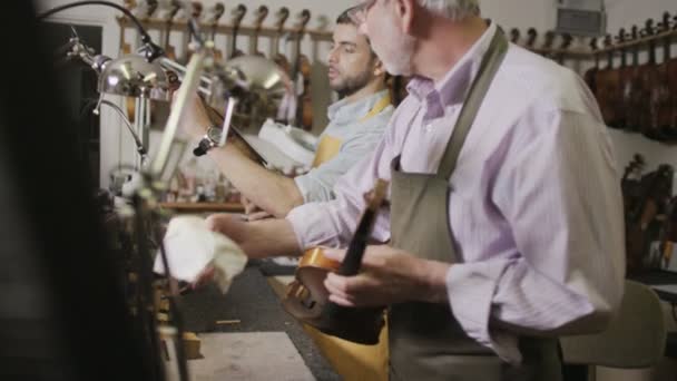 Craftsmen restoring violins — Stock Video