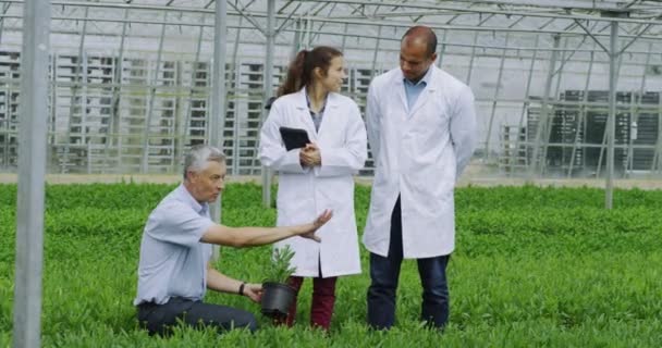 Empresário e fornecedores cumprimentam um acordo — Vídeo de Stock