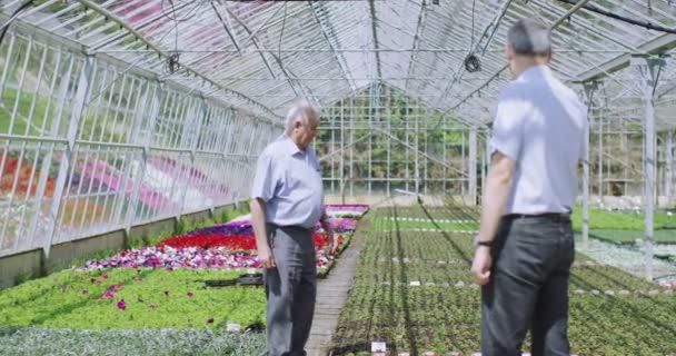Менеджери перевіряють квіткові рослини — стокове відео