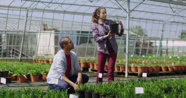 Paar op zoek naar planten — Stockvideo