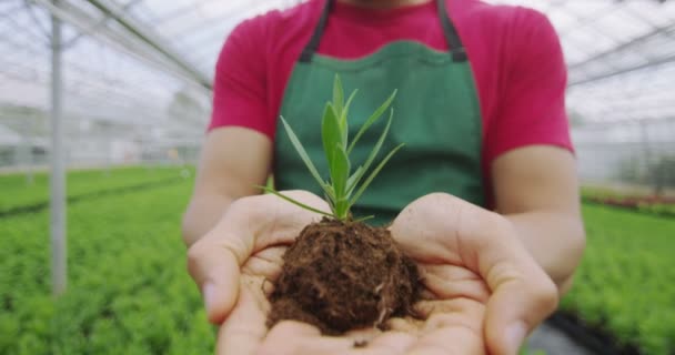 Arbetare som håller ut en ung planta — Stockvideo