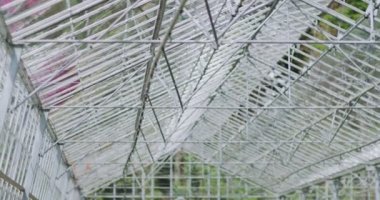 Serada yetişen bitkiler