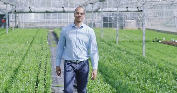 Gerente de negocios en la industria agrícola — Vídeos de Stock