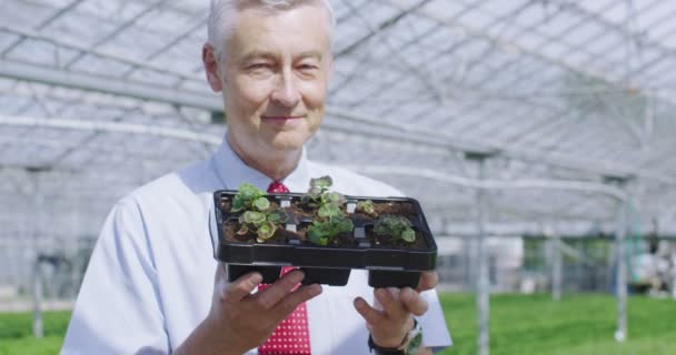 Businessman holding a tray of seedlings — Stock Video