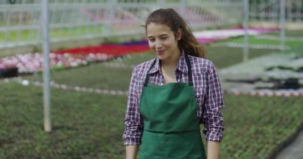 Sonriente trabajador en vivero de plantas — Vídeos de Stock