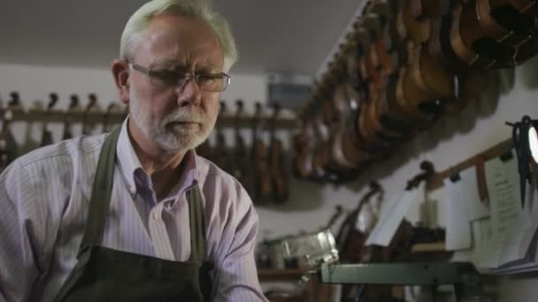 Craftsman restoring violins — Stock Video