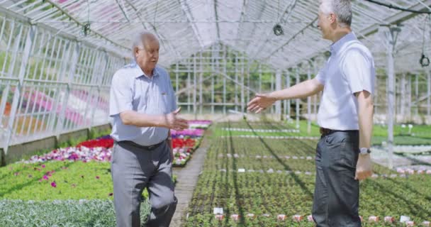 Businessmen in greenhouse shake hands — Stock Video