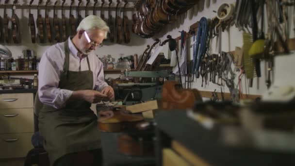 Artesano restaurando violines — Vídeos de Stock