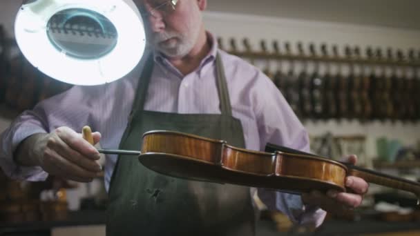 Ремесленник, восстанавливающий скрипки — стоковое видео