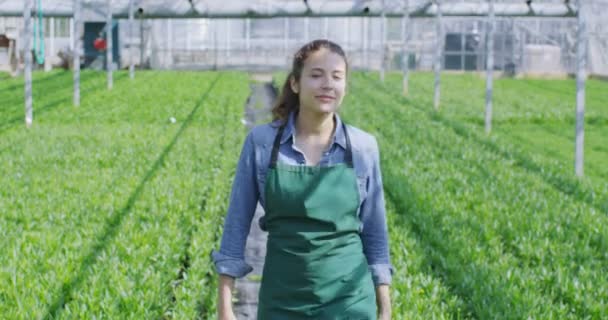 Gerente de negocios en la industria agrícola — Vídeos de Stock