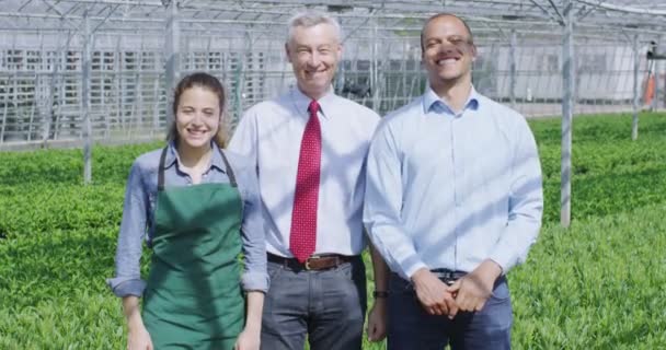 Workers in nursery greenhouse — Stock Video