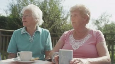  Kıdemli arkadaşlar çay bardağı ile sohbet