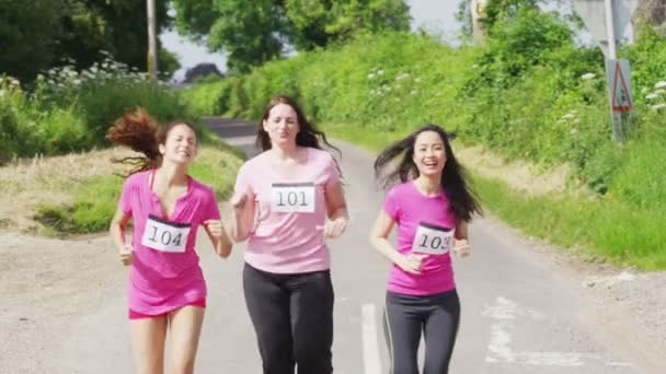 Amigos do sexo feminino correndo no campo — Vídeo de Stock