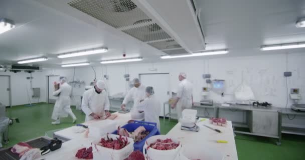 Carniceros que trabajan en la fábrica de carne — Vídeos de Stock