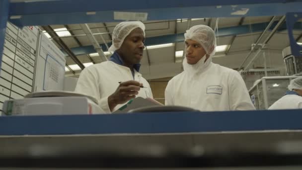 Werknemers op een productielijn — Stockvideo