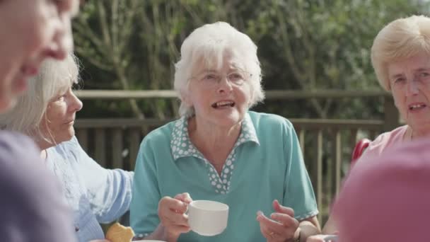 Amigos seniores conversando com xícaras de chá — Vídeo de Stock