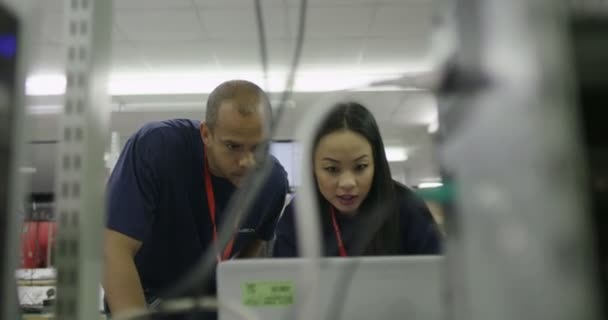 Trabajadores que trabajan en pruebas informáticas — Vídeo de stock