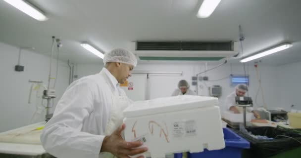 Trabajadores en una fábrica de procesamiento de mariscos — Vídeo de stock