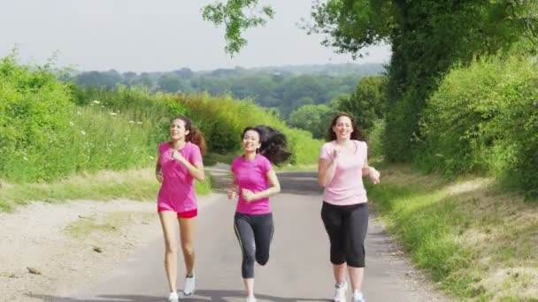 Amigos do sexo feminino correndo no campo — Vídeo de Stock