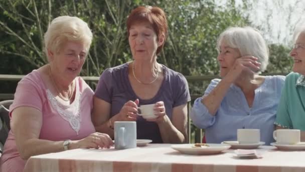 Старшие друзья беседуют с чашками чая — стоковое видео