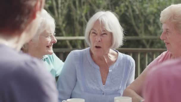 Amici anziani in chat con tazze di tè — Video Stock