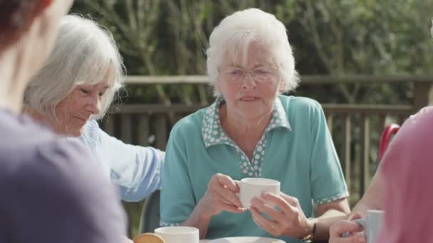 Senior vrienden drinken thee — Stockvideo