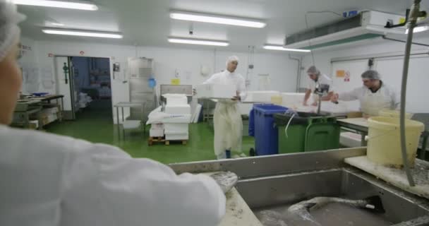 Trabajadores en una fábrica de procesamiento de mariscos — Vídeo de stock