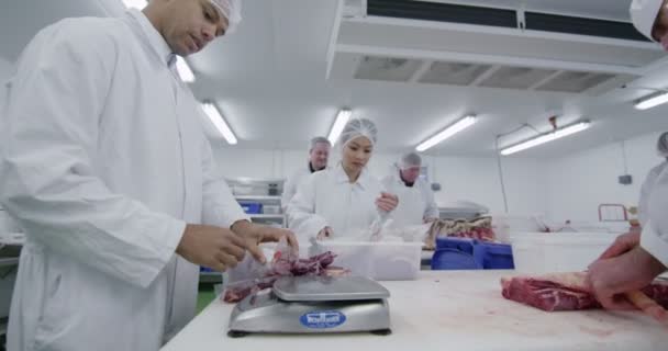 Мясники, работающие на мясокомбинате — стоковое видео