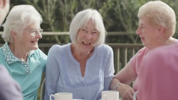 Старші друзі спілкуються з чашками чаю — стокове відео