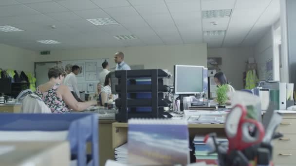 Office employee looks through paperwork — Stock Video