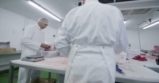Rzeźnik praca w fabryce mięsa — Wideo stockowe