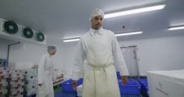 Balık kutu ambalaj işçi 