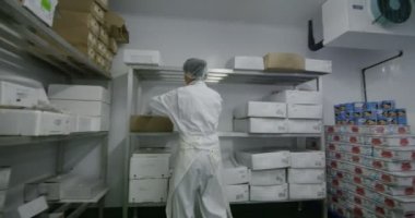 Balık kutu ambalaj işçi 