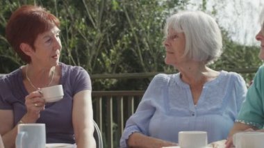 çay bardağı ile sohbet arkadaş