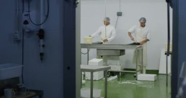 Bir deniz ürünleri işleme fabrikasında işçiler
