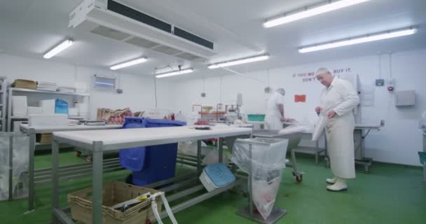 Carniceros que trabajan en la fábrica de carne — Vídeo de stock