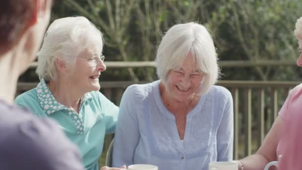 Amis aînés bavarder avec des tasses de thé — Video