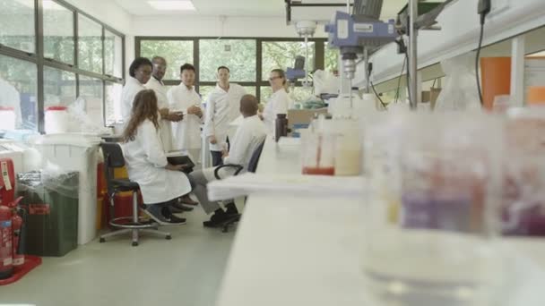 Científicos reunidos en la universidad — Vídeo de stock