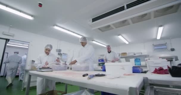 Slagers in vlees fabriek — Stockvideo