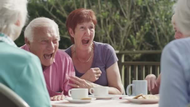 Senior vrienden drinken thee — Stockvideo