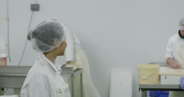 Dělníci v továrně na zpracování mořských plodů — Stock video