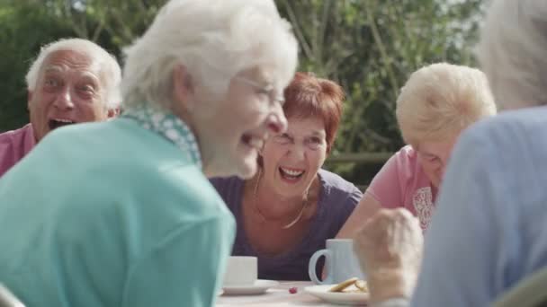 Amici anziani che bevono tè — Video Stock