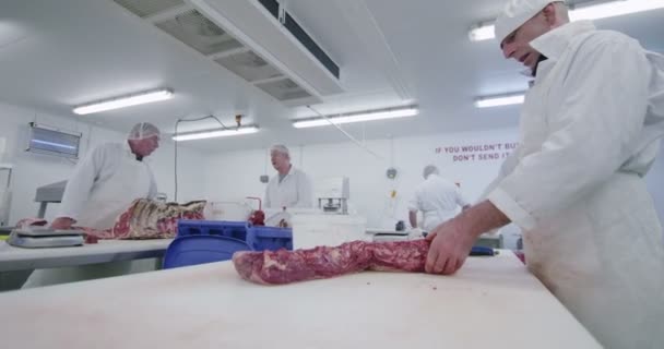Butchers working in meat factory — Stock Video