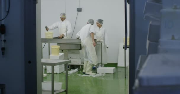 Trabajadores en una fábrica de procesamiento de mariscos — Vídeo de stock
