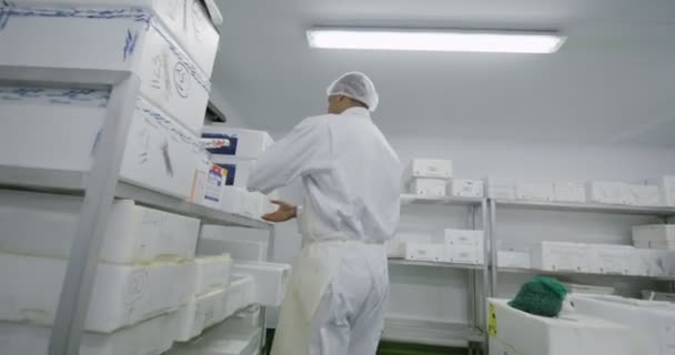 Рабочие упаковывают коробки с рыбой — стоковое видео