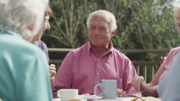 Senior friends drinking tea — Stock Video