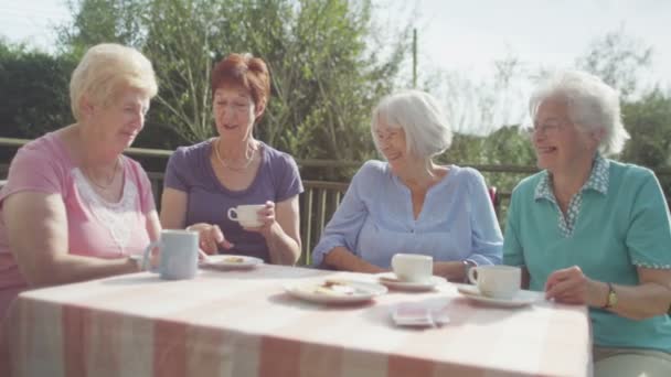 Vezető meg beszélgetni csésze tea — Stock videók