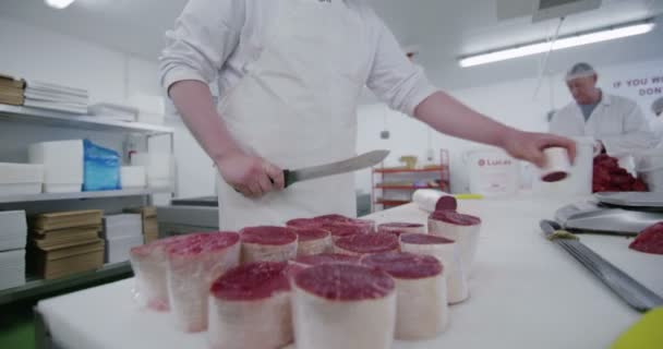 Hentesek dolgozó húsfeldolgozó üzem — Stock videók
